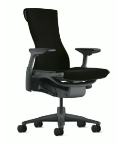 Herman Miller Embody® Chair > Standard